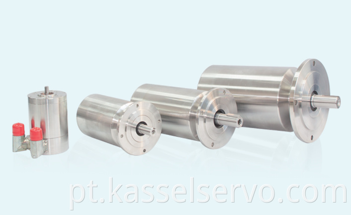 Stainless Steel Servo Motor